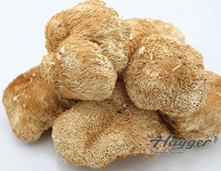 Alternative view of Hericium Aslan Yelesi Mantarı 100 Gr