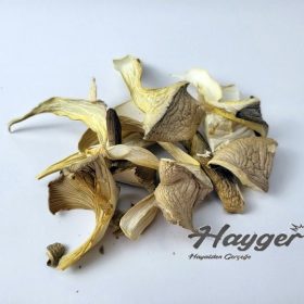 Güneşte Kurutulmuş İstiridye Mantarı 100 Gr Parçalı