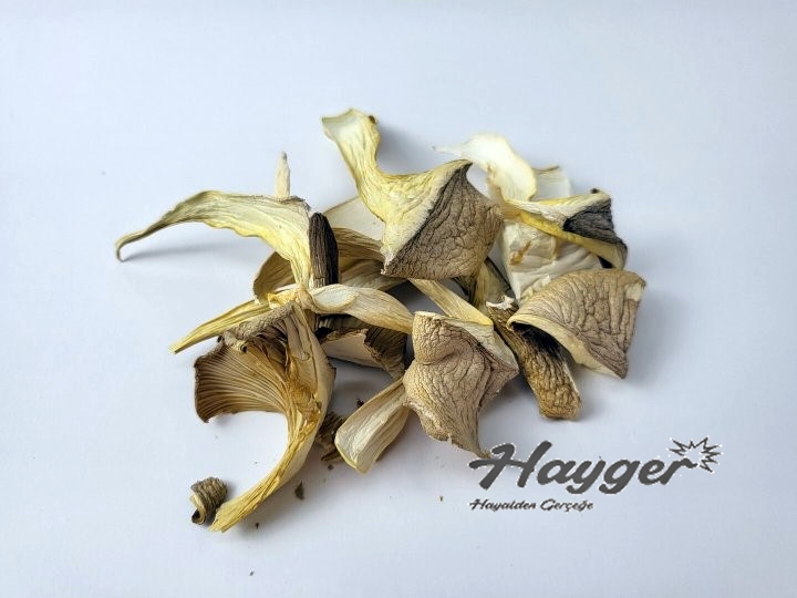 Güneşte Kurutulmuş İstiridye Mantarı 100 Gr Parçalı