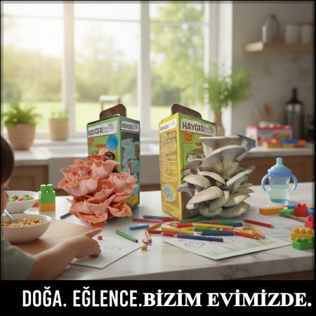 Alternative view of İstiridye Mantar Bahçesi 2’li Pembe Gri Renk