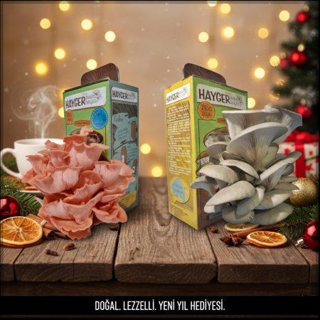 İstiridye Mantar Bahçesi 2’li Pembe Gri Renk