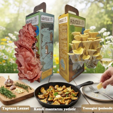 Alternative view of İstiridye Mantar Bahçesi Renkli 2’li Sarı Pembe