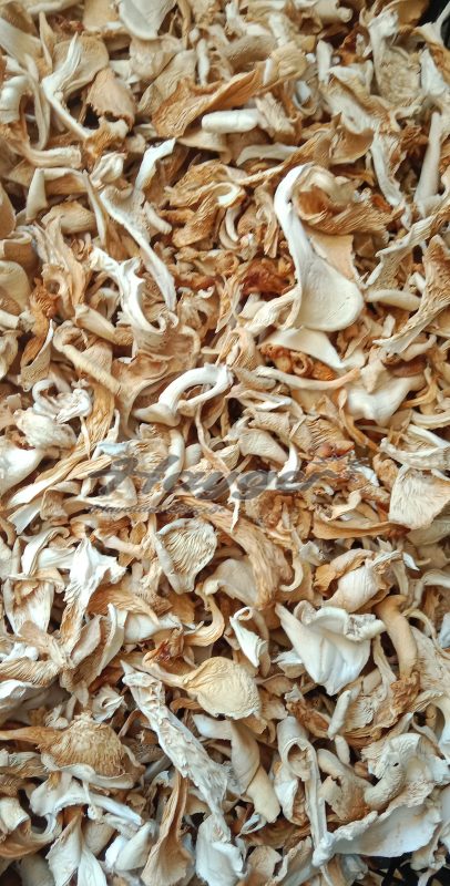 Kurutulmuş İstiridye Mantarı 5000 Gr Parçalı