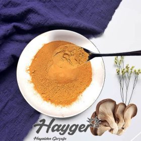 Kurutulmuş İstiridye Mantarı 100 gr Toz