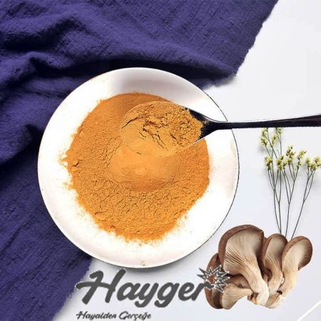 Kurutulmuş İstiridye Mantarı 100 gr Toz