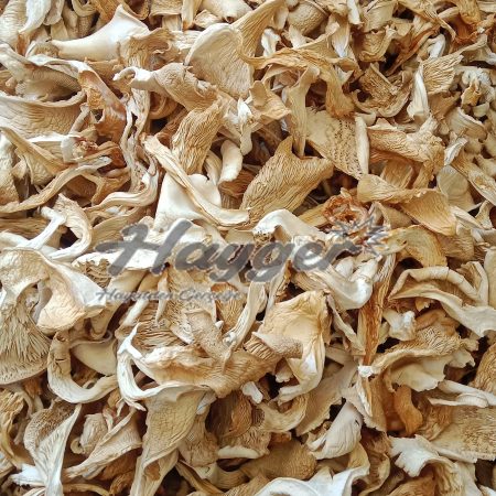Alternative view of Kurutulmuş İstiridye Mantarı 5000 Gr Parçalı