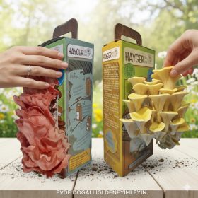 İstiridye Mantar Bahçesi Renkli 2’li Sarı Pembe