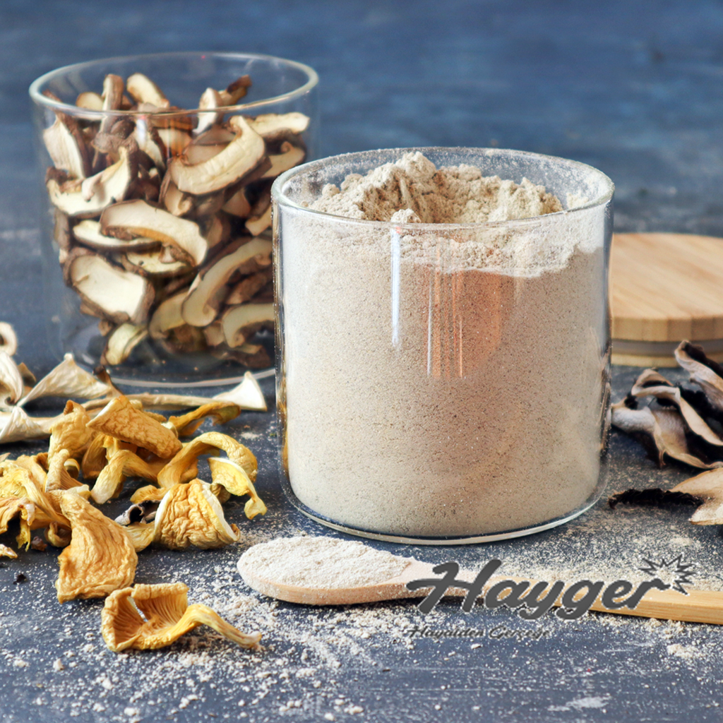 Kurutulmuş İstiridye Mantarı 100 gr Toz - Görsel 4