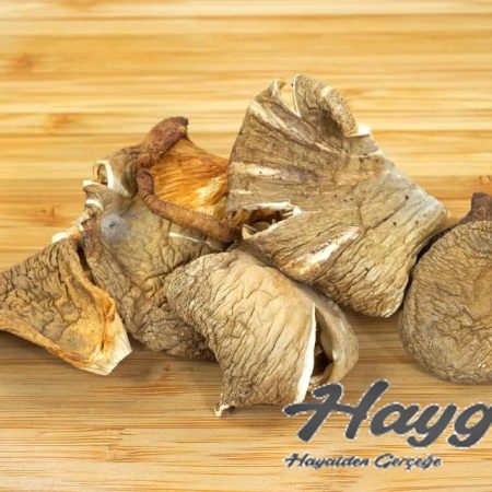 Alternative view of Güneşte Kurutulmuş İstiridye Mantarı 100 Gr Parçalı