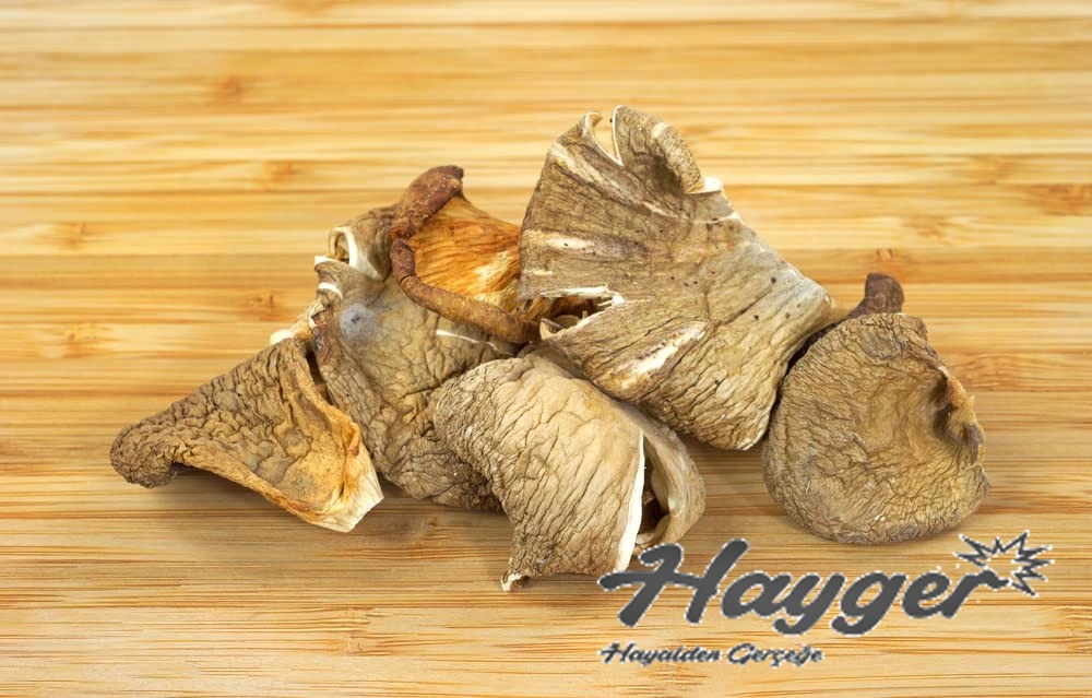 Güneşte Kurutulmuş İstiridye Mantarı 100 Gr Parçalı - Görsel 2