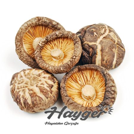 Alternative view of Shiitake Mantarı  Kuru 100 gr