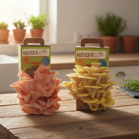 Alternative view of İstiridye Mantar Bahçesi Renkli 2’li Sarı Pembe