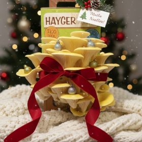 İstiridye Mantar Bahçesi (Sarı)