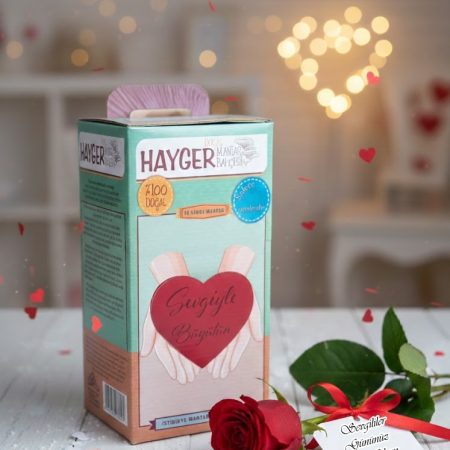 İstiridye Mantar Bahçesi (Gri)